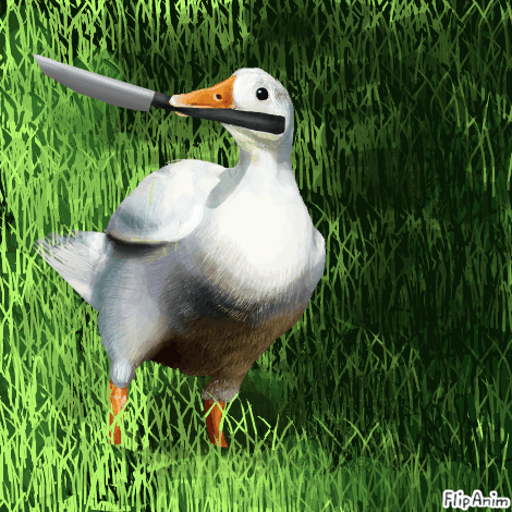 1665066197938.webp