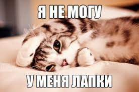 1665172223221.webp
