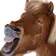 1665244729296.webp