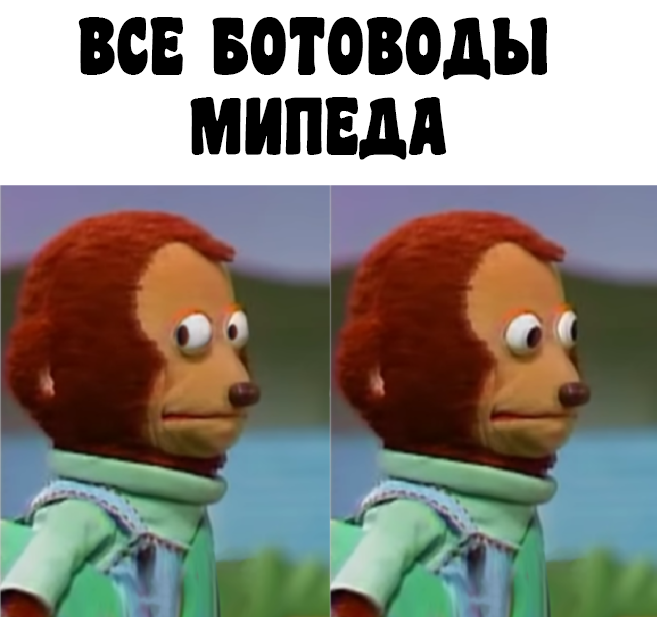 1665424090546.webp