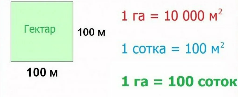 1665824060862.webp