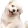 1665833708313.png