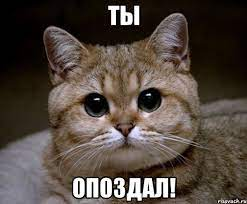 1665933924660.webp