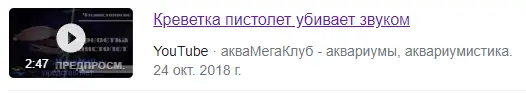 1666531244270.webp