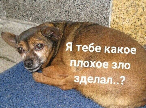 1666886225080.webp