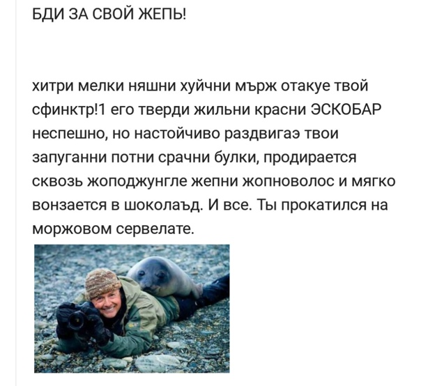 1667058824896.webp