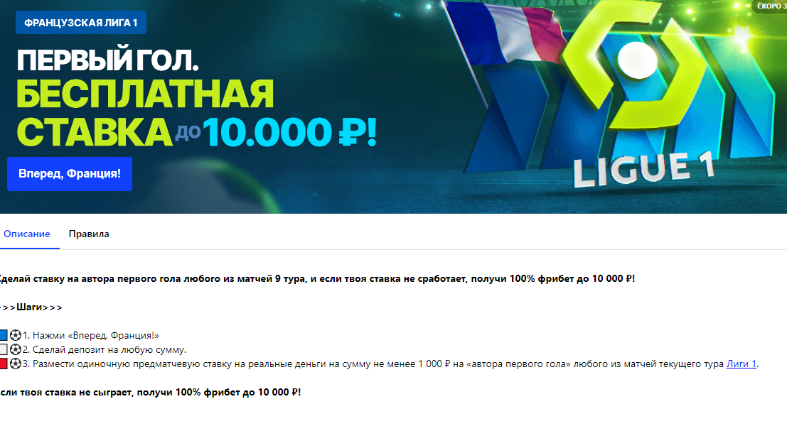 1667075695784.webp