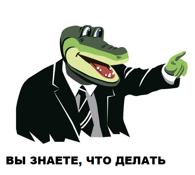 16671707 (1).webp