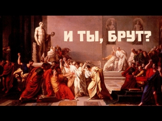 1667247388094.webp
