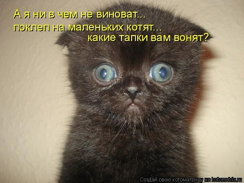 1667412994222.webp