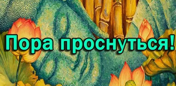 1667578909543.webp