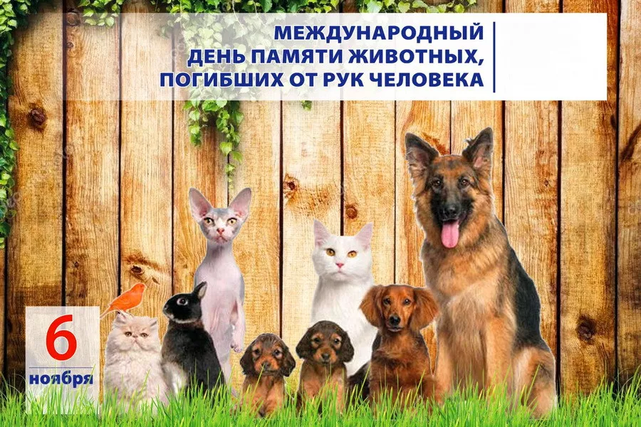 1667753309974.webp