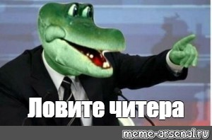 1669237601881.webp