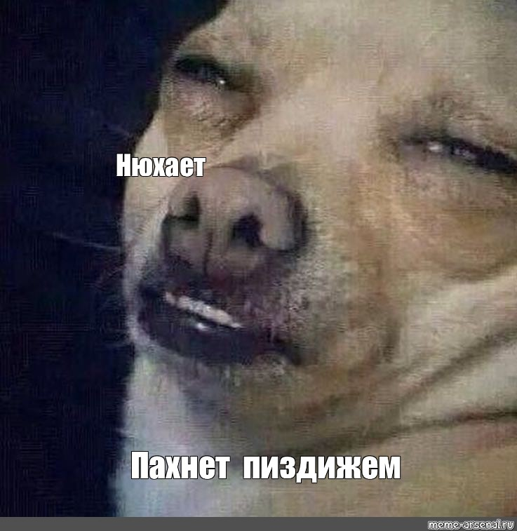 1669750715640.webp