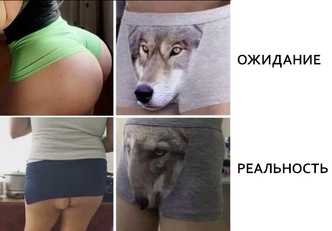 1669890827494.webp