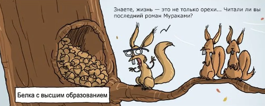 1670076540896.webp
