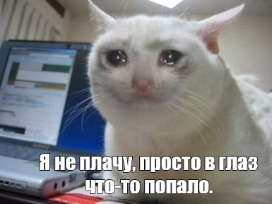 1670193053506.webp