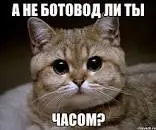 1670610733735.webp