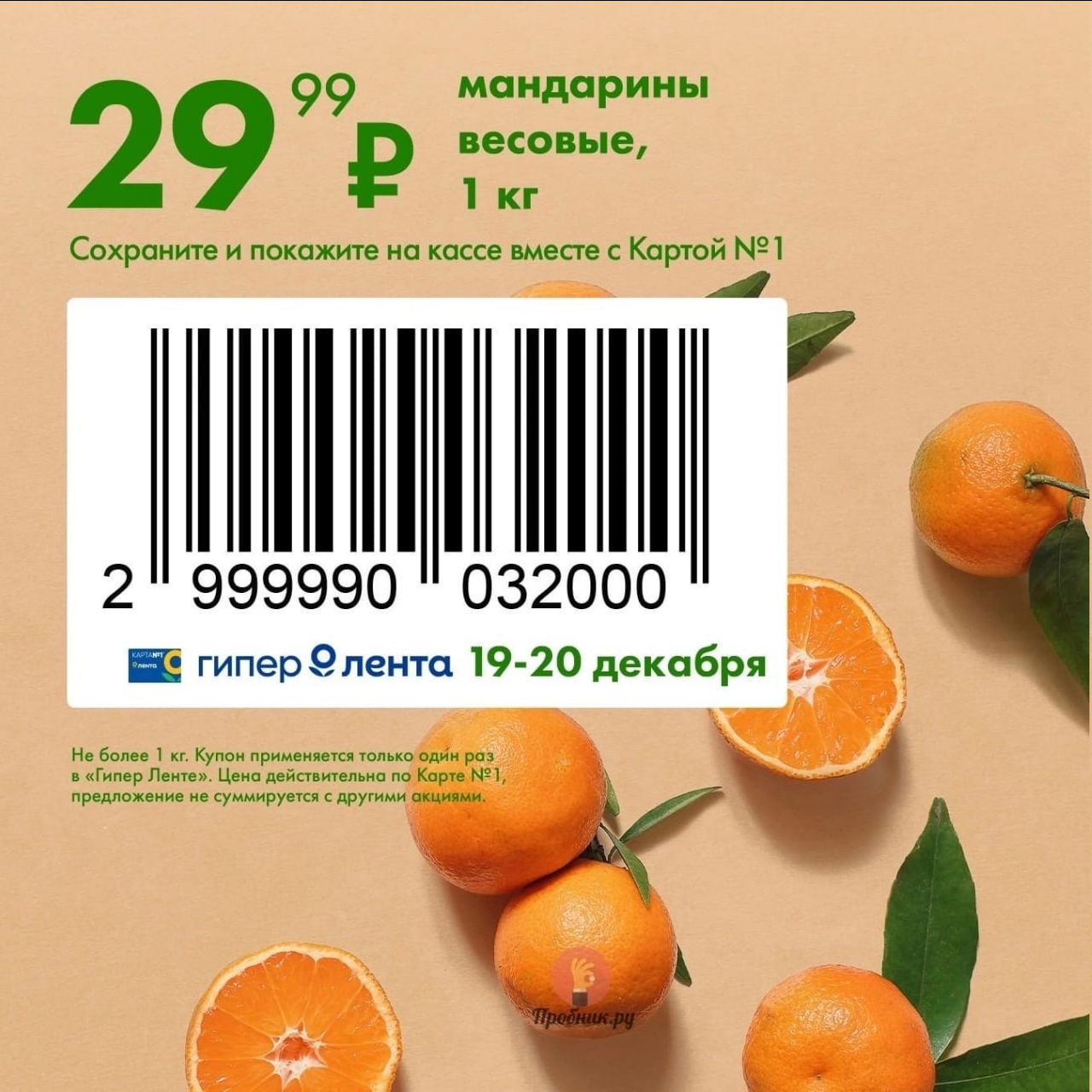 1671476466543.webp