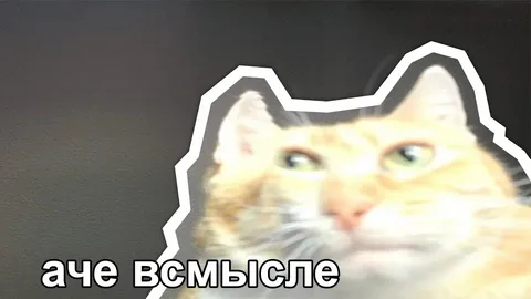 1671702560368.webp
