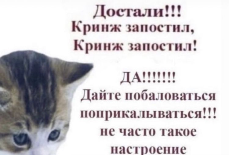 1671711793443.webp