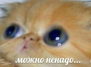 1672176199343.webp