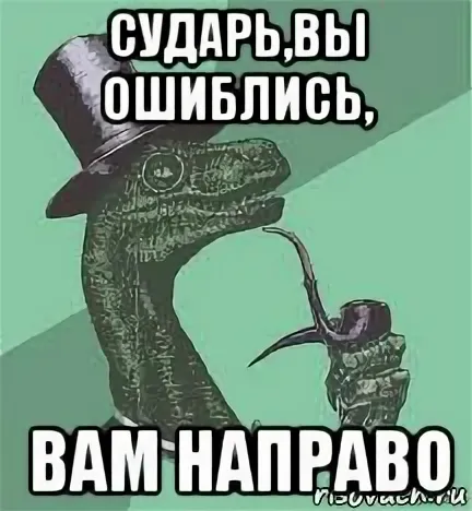 1672453326891.webp