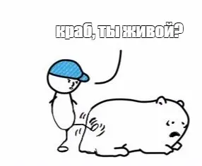 1673440988838.webp