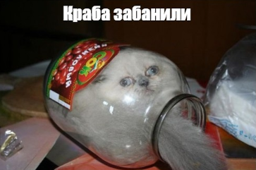 1673443853025.webp