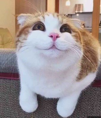 1673799863885.webp