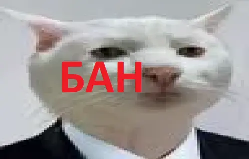 1674934169321.webp
