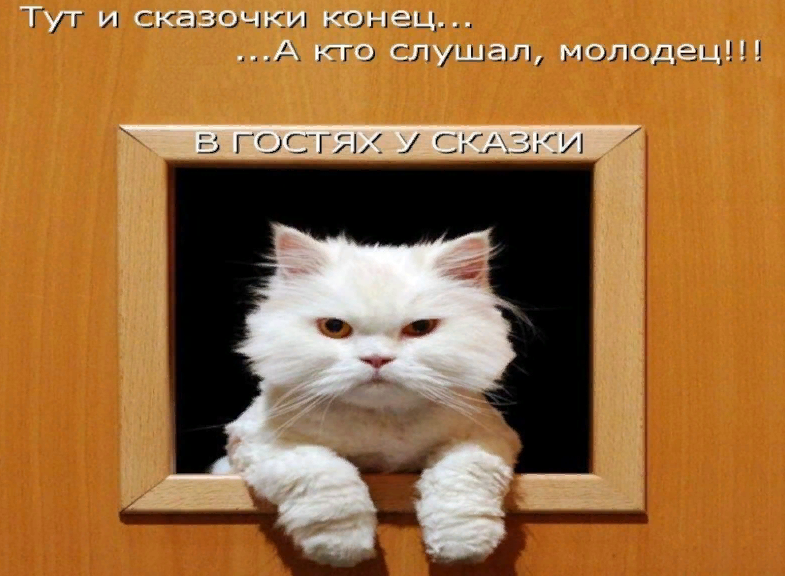 1675189666804.webp