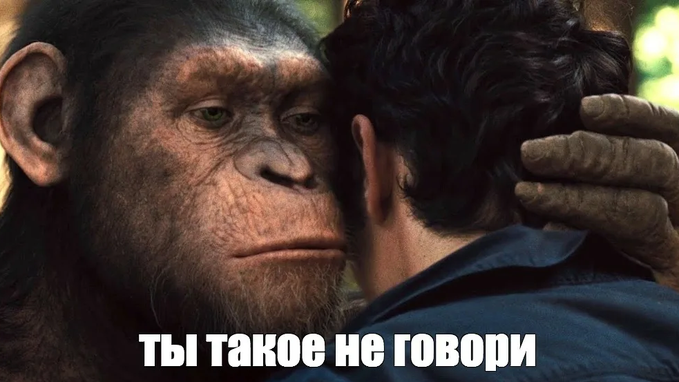 1675617905499.webp