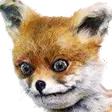 1675697887299.webp