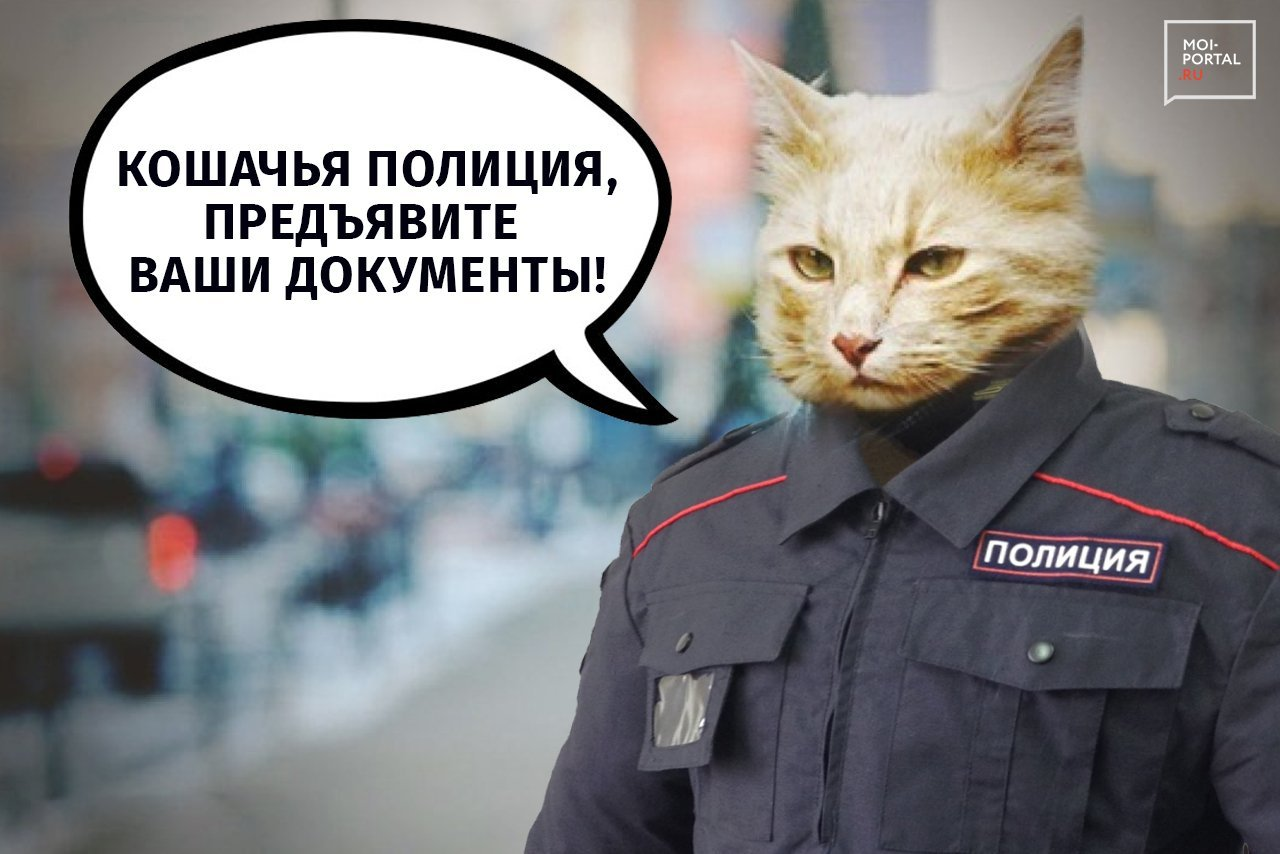 1675887122328.webp