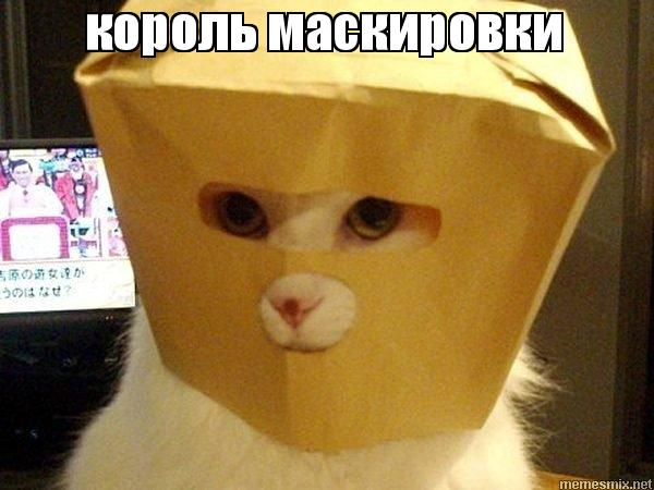 1676385047879.webp