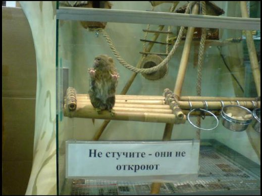 1676518655609.png