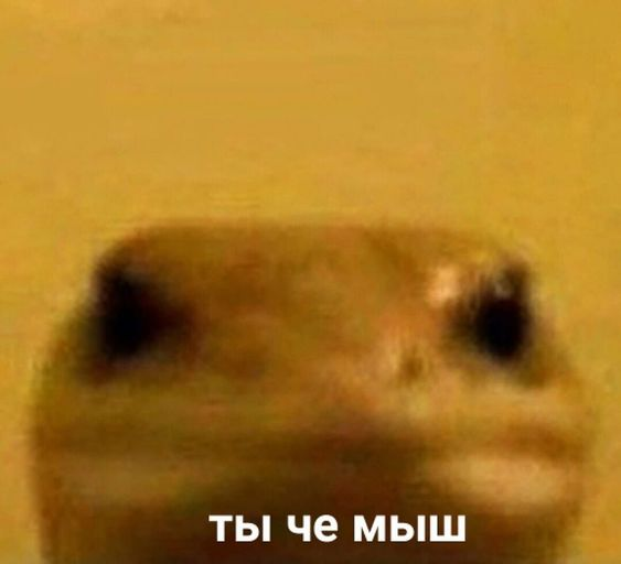 1676906868596.webp