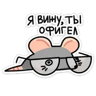 1676913691790.webp