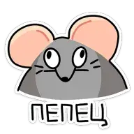 1676920356968.png