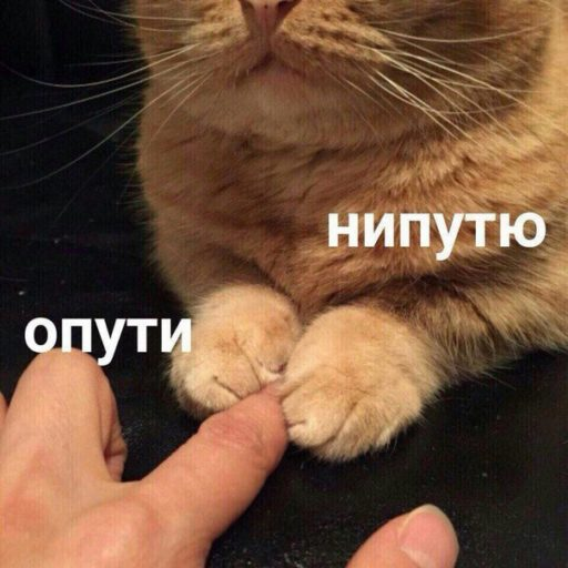 1677008081449.webp