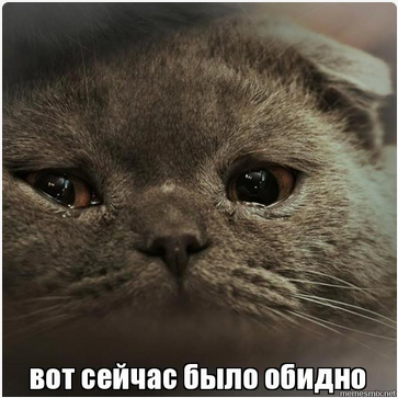 1677186695031.webp