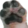 1677268930511.png