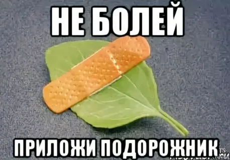1677593030257.webp