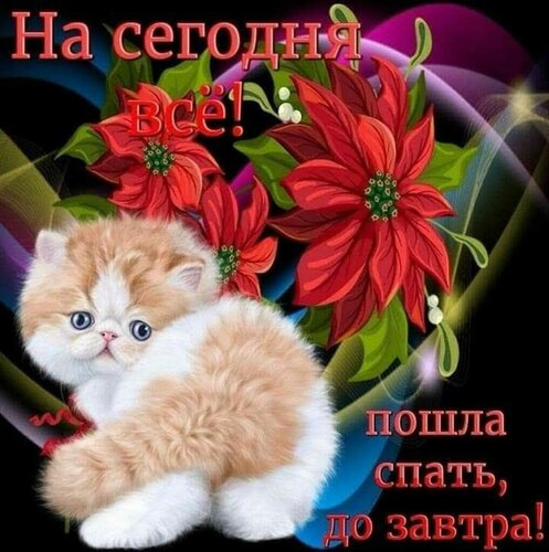 1677618172999.webp