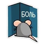 1677636823017.webp