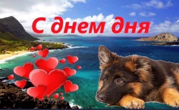 1678261912794.webp