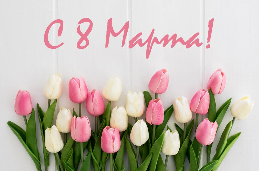 1678270504222.webp