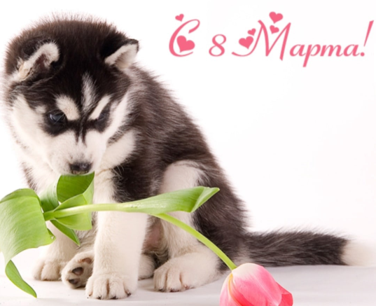 1678284052395.webp
