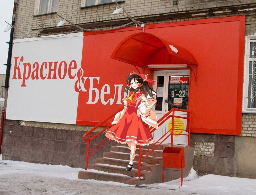 1678458169141.webp